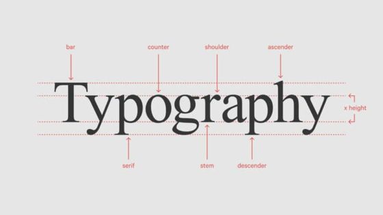Typography